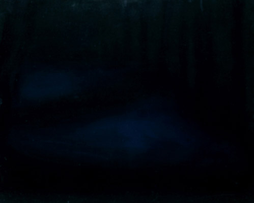 Silva nr.VI, 40 x 50 cm, Oel auf HDF, 2011